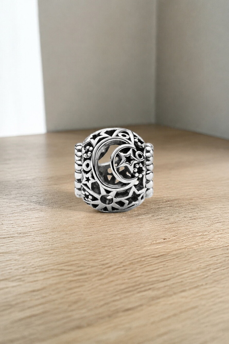 Pandora Shimmering Dolphin Dangle Charm